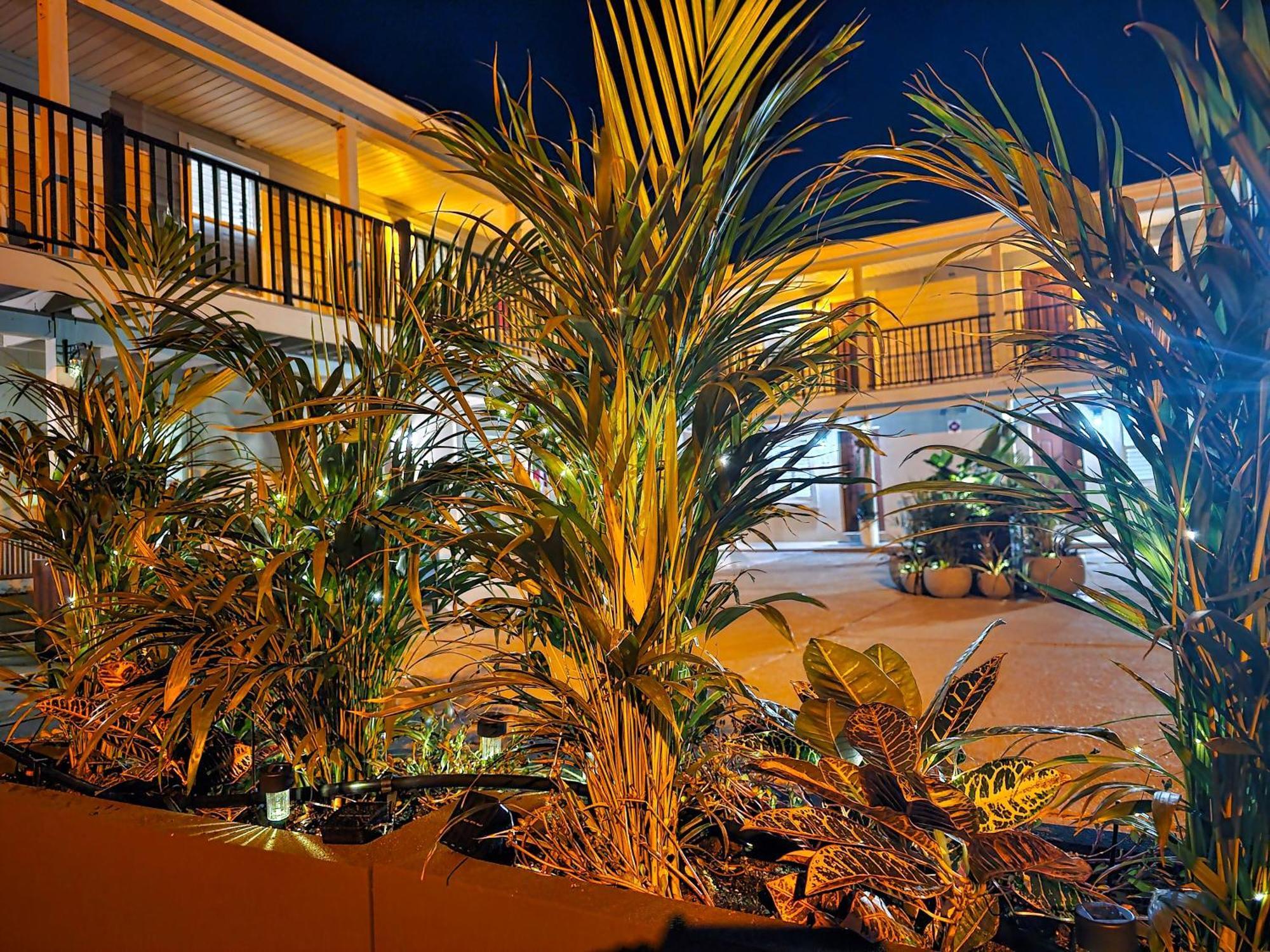 Beach 5 Villas On Amelia Island Steps To The Ocean 费南迪纳比奇 外观 照片